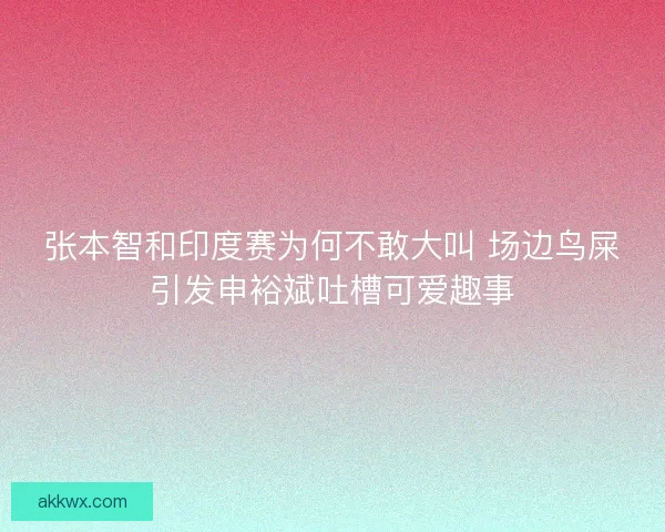 张本智和印度赛为何不敢大叫 场边鸟屎引发申裕斌吐槽可爱趣事