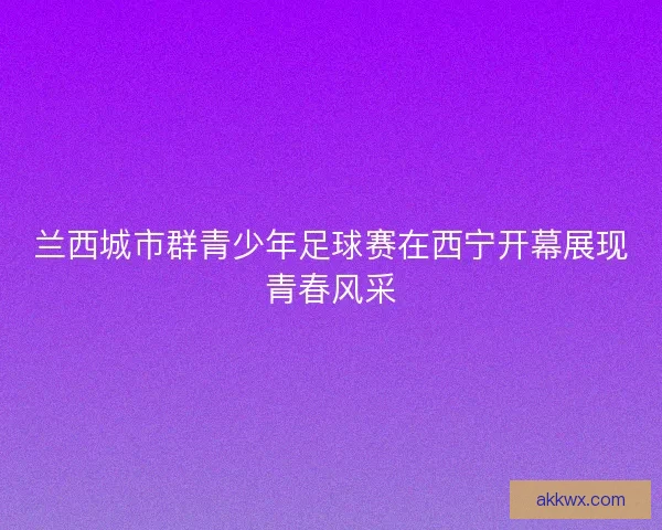 兰西城市群青少年足球赛在西宁开幕展现青春风采 兰西城市群青少年足球赛在西宁开幕展现青春风采
